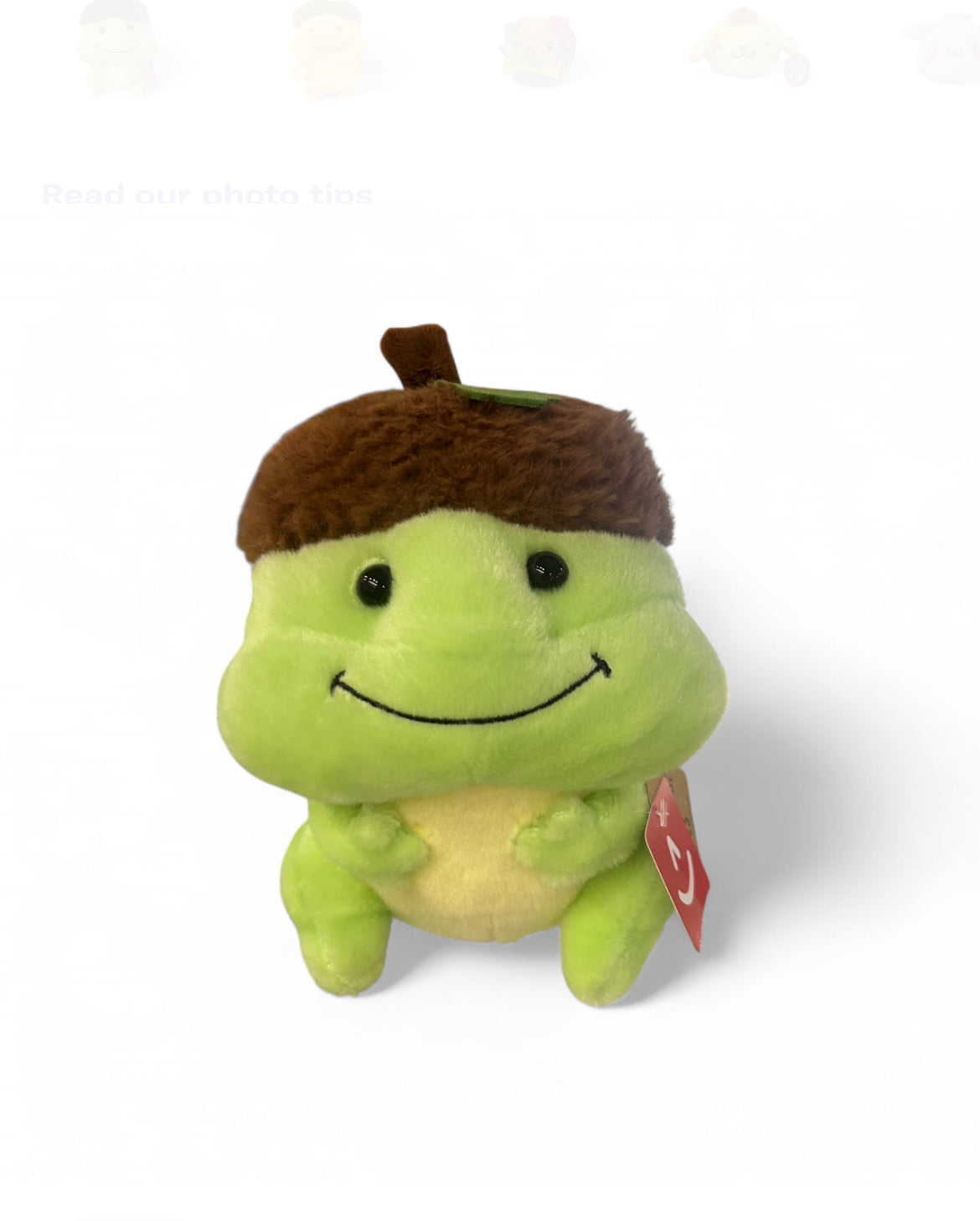 Life in a NutShell Frog Aurora